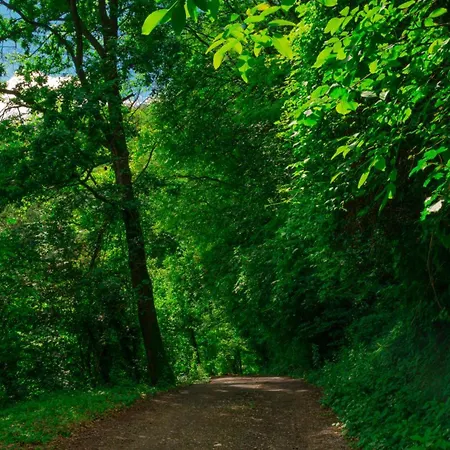 Nocleg ze śniadaniem La Finestra Sul Bosco *