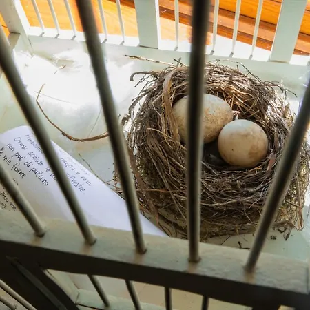 Bed & Breakfast La Finestra Sul Bosco Serralunga di Crea