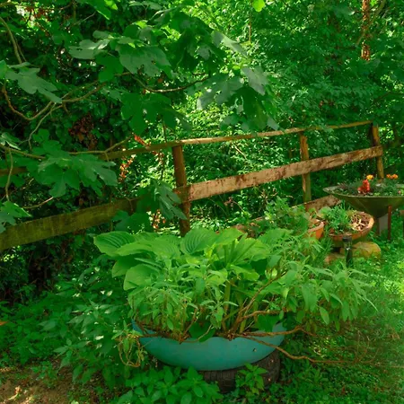 La Finestra Sul Bosco 住宿加早餐酒店 *