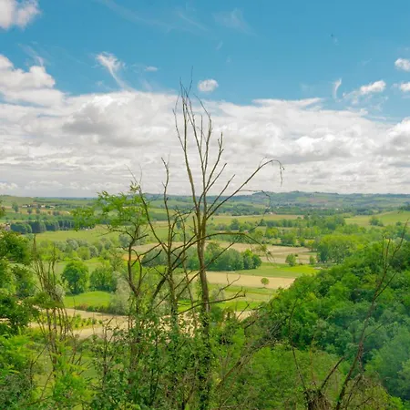 La Finestra Sul Bosco