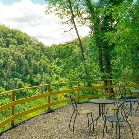 La Finestra Sul Bosco *