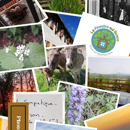 La Finestra Sul Bosco