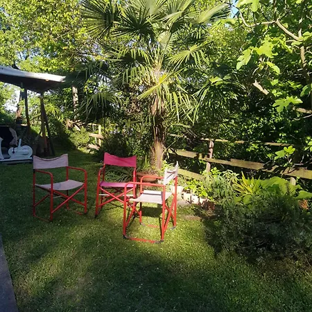 La Finestra Sul Bosco *