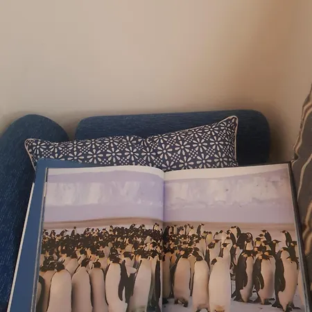 Bed & Breakfast La Finestra Sul Bosco *