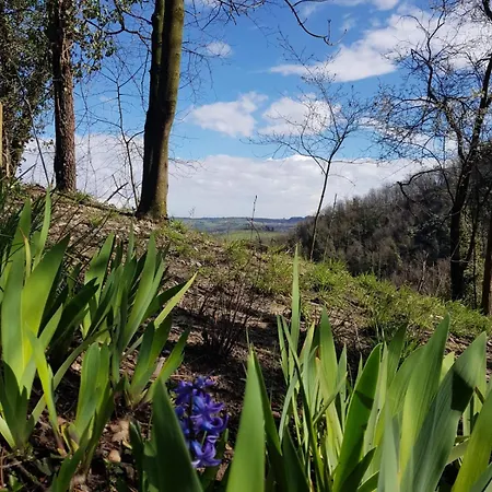 La Finestra Sul Bosco * Serralunga di Crea